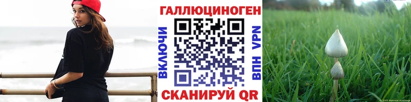 Галлюциногенные грибы Psilocybine cubensis  где купить наркоту  Юхнов 