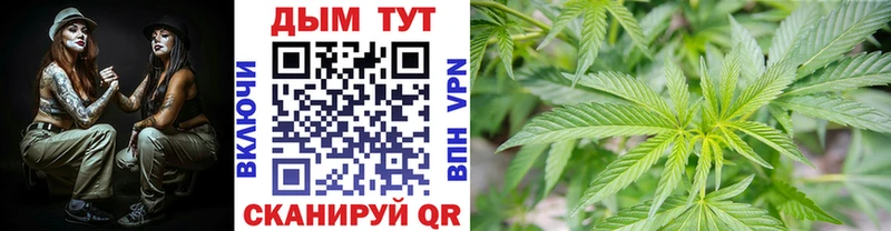 Конопля семена  дарнет шоп  Юхнов 